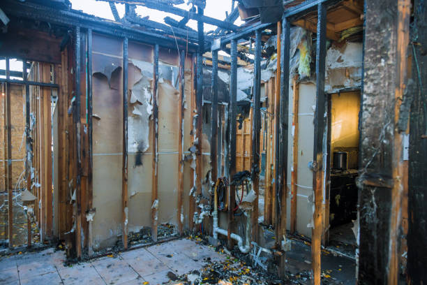 Professional Fire Damage Assessment technician working in Bristol, FL